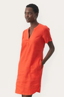 AminasePW Dress