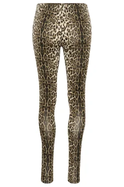 BPabela Leggings