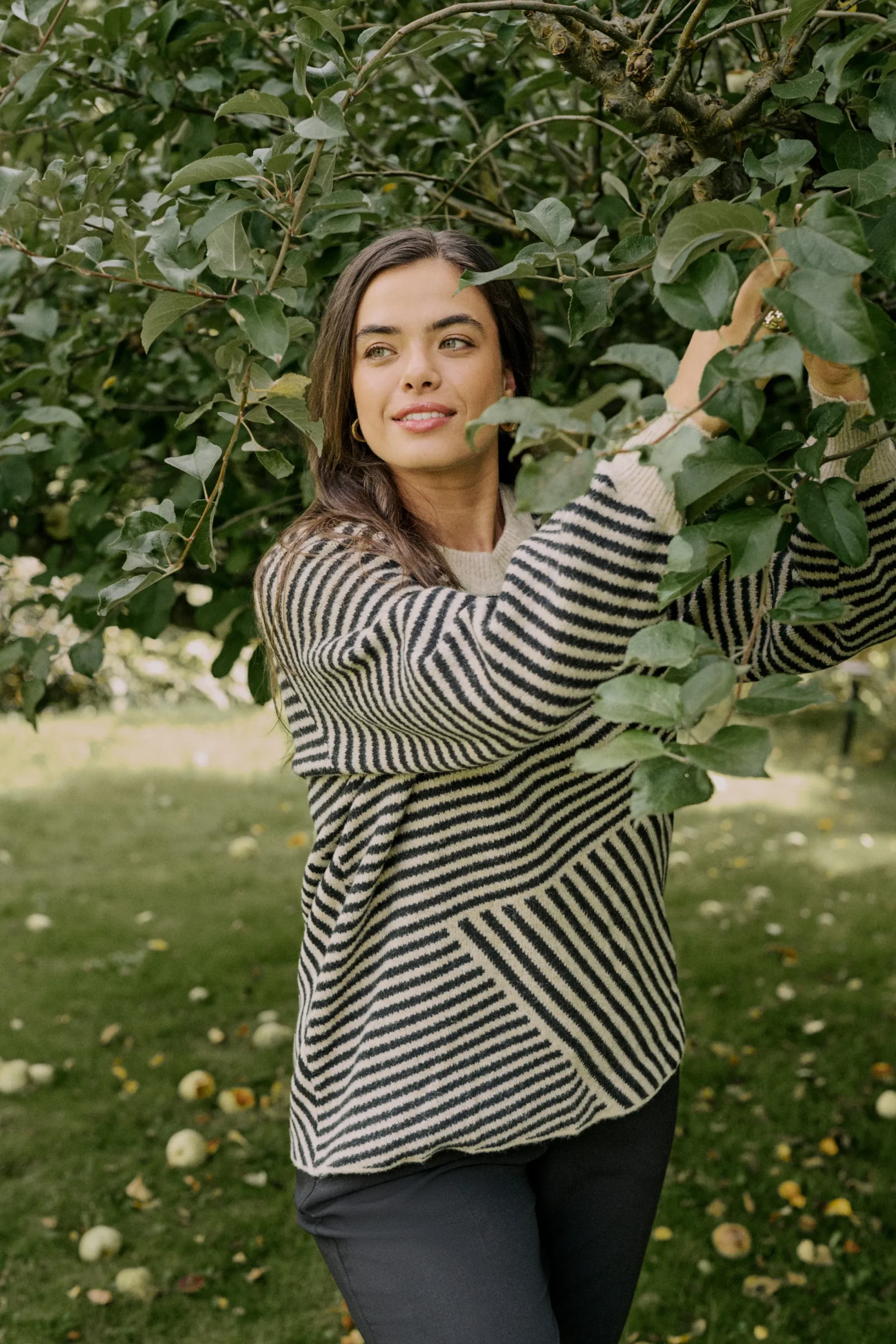 KCverina Pullover