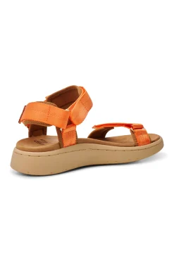 Line Sandal