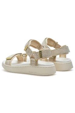Line Shoe