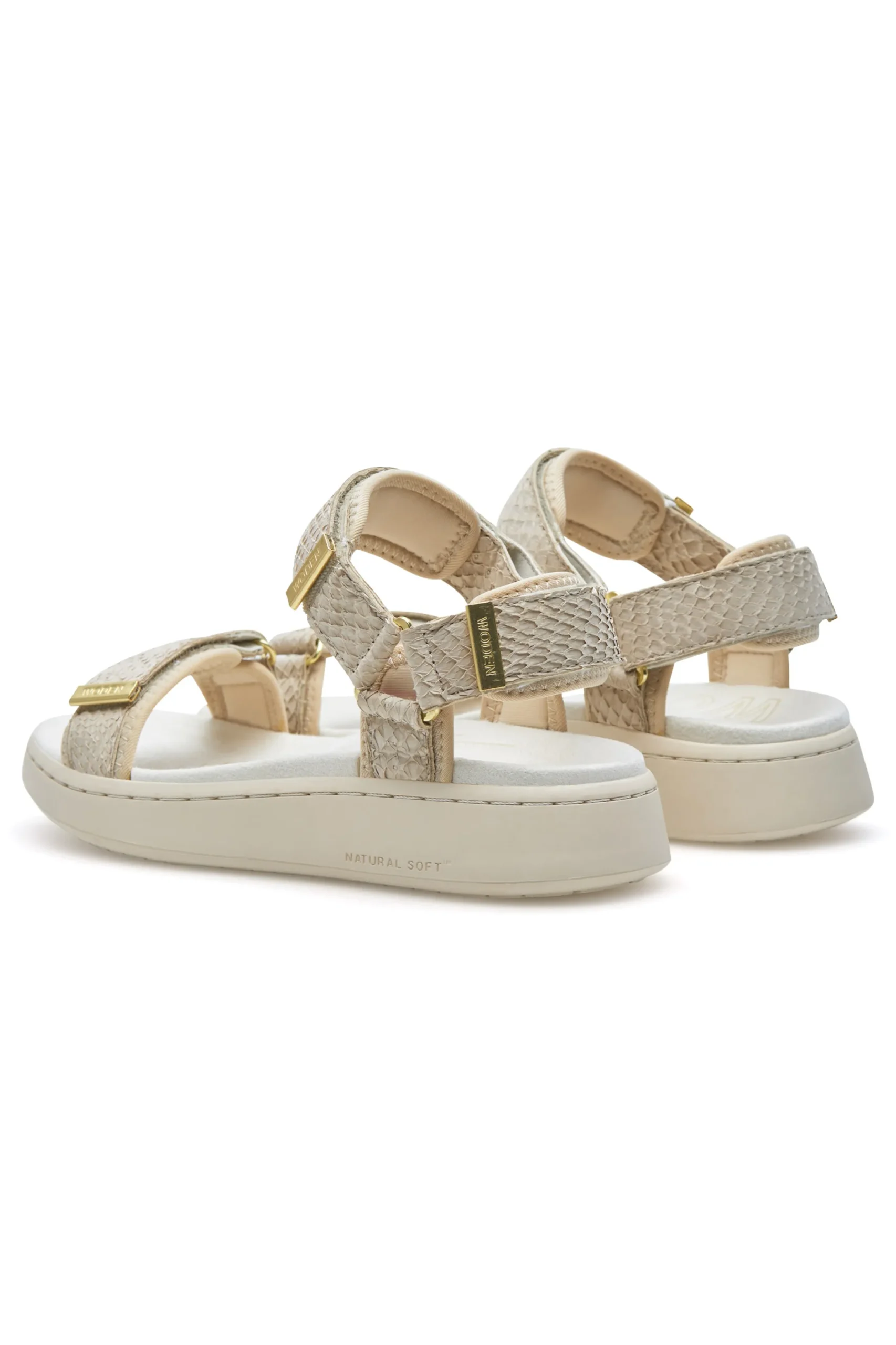 Line Shoe