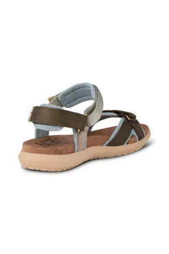Line Shoe
