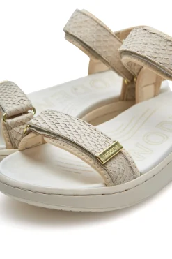 Line Shoe