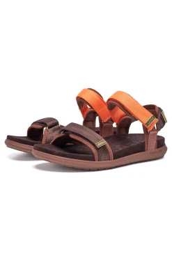 Line Shoe