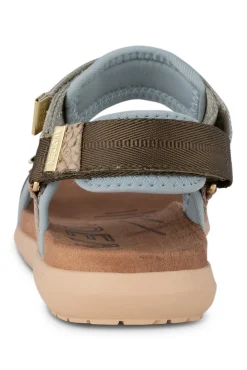 Line Shoe