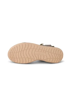 Line Shoe