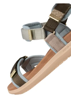 Line Shoe