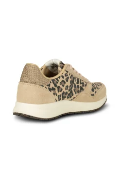 Nicoline Shoe